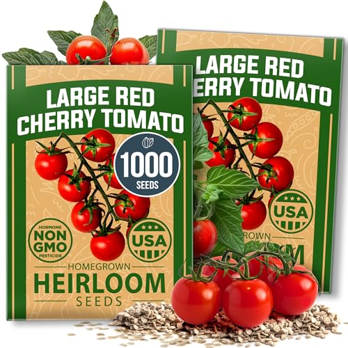 Large Red Cherry Tomato Seeds 2 Pack (Solanum lycopersicum) - Approx.1000 & Genovese Basil Seeds 2 Pack - 3500 Non GMO - view 2