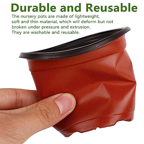 100 PCS 8 Inches Plastic Plant Nursery Pots Reusable for Succulents Seedlings Cuttings TransplantingSeedlings Plastic Plant Pots with Drainage Holes - view 4