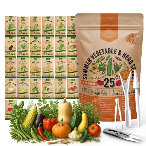 30 Most Popular Winter Vegetable Garden Seeds Variety Pack- Outdoors/Indoor 33,200+ Non-GMO Heirloom Veggie Seeds Broccoli Beet Carrot Cabbage Chives Lettuce Radish Pea Spinach & More - view 6