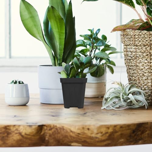 20pcs Small Plastic Succulent Nursery Pots for Plant Propagation - view 4