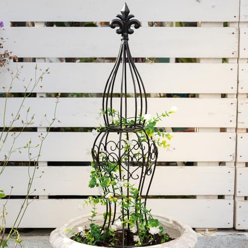 Metal Garden Trellis for Climbing Plants – 29.5" Durable Support