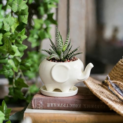 White Elephant Succulent Planter, 4 Inch Ceramic Plant Pot with Drainage Hole & Tray, Small Animal Flower Pot for Indoor Tabletop Decor, Plant Lover Gift for Home Office - view 6