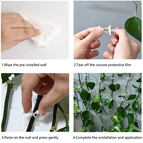 Plant Climbing Wall Fixture Clips,100Pcs Plant Fixer Self-Adhesive Hook,Garden Vegetable Plant Support Binding Clip Invisible Wall Vines,Fixture Wall Sticky Hook Fixing Clip Vines Holder (B-100 Pcs) - view 3