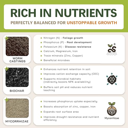 Premium AROID Soil Blend for Monstera, Philodendron, Alocasia, Anthurium – Chunky, Optimally Aerated Soil – Organic & Ready to Use – Supercharges Root and Foliage Growth - (2QTS) - view 4
