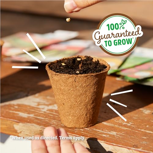 Organic Flowers Seeds Variety (5-Pack) - view 6
