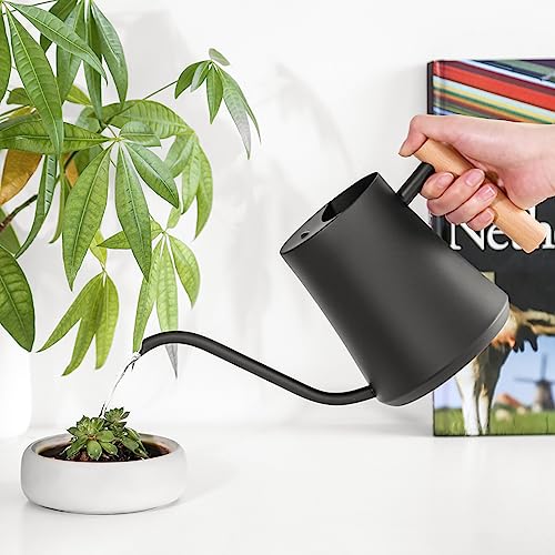 Black Watering Can for Indoor Plants, 1L/35oz Stainless Steel - view 5