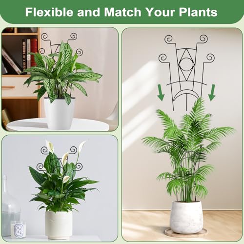 Stackable Metal Trellis for Climbing Plants Indoor - 4 Pack Garden Trellis for Potted Plants, Plant Support Stakes for Flower Vines - Rust-Resistant Sturdy Plant Trellis - view 5
