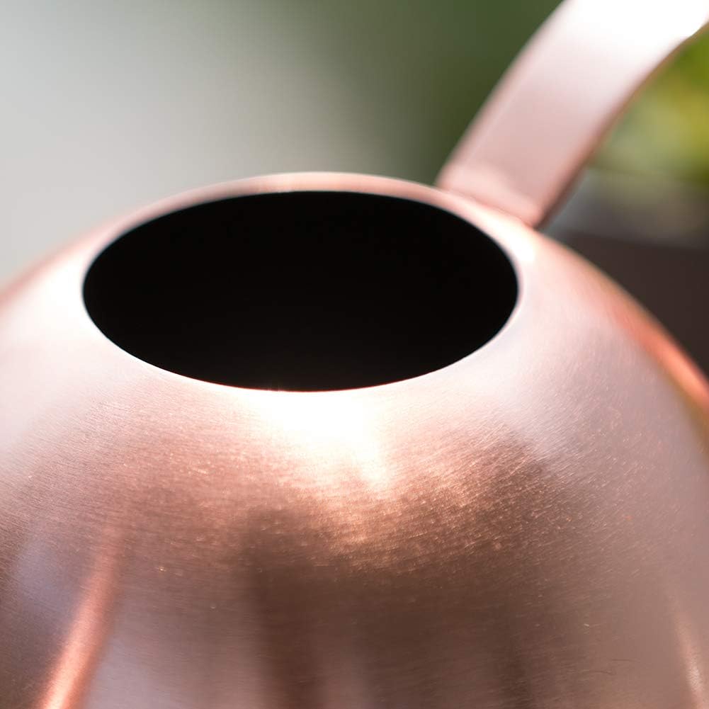 Watering can for indoor plants, 30oz long spout stainless steel | long spout design delivers precise watering directly to plant roots - view 6