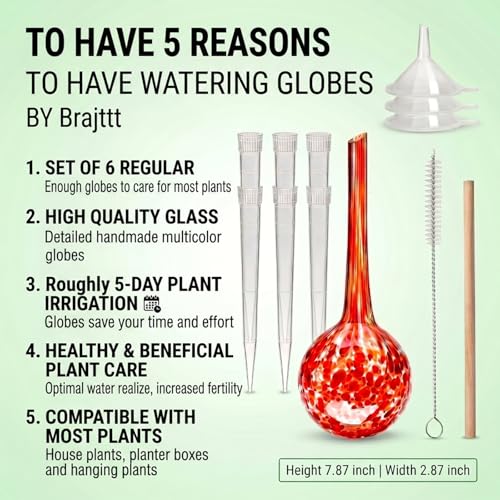 Self Watering Globes,6 Pack Plant Watering Globes,Plant Water Bulbs - view 2