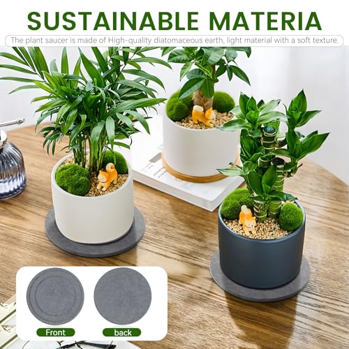 3 PCS Round 5.9" Diatomite Plant Saucers for Indoors, Plant Plate - view 2