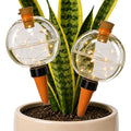 19 oz Extra Large Plant Self Watering Globes Top Fill, Classic Globe Plastic Self Watering Bulbs, LED Solar Light Automatic Waterer with Slow Release Ceramic Spikes for Indoor Outdoor Plants, 2 Pack