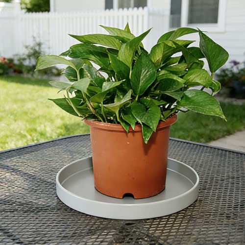 1 Pack 12 inch Plant Saucer Drip Tray, Heavy Sturdy Plastic Planter Flower Pot Drainage Tray Plate Saucers for Indoor Outdoor Garden, Plant Water Drip Trays for pots Base (12", Gray) - view 6