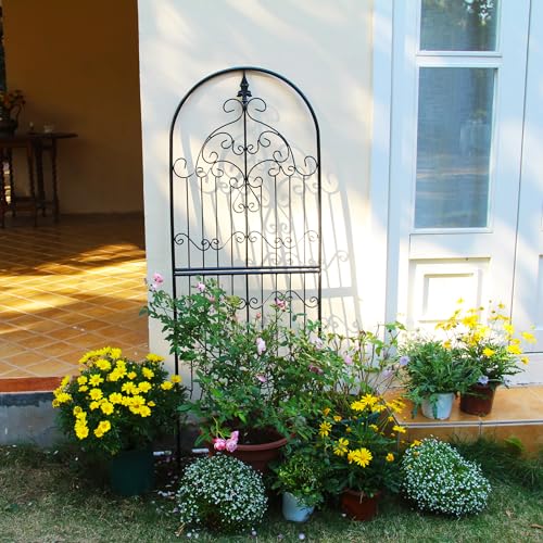 Metal Garden Trellis, Plant Support for Climbing Roses & Clematis