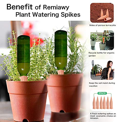 Plant Watering Spikes, Plant Vacation Waterer Wine Bottle Watering Stakes Terracotta Devices Slow Release Self Spikes for Indoor Outdoor - view 5