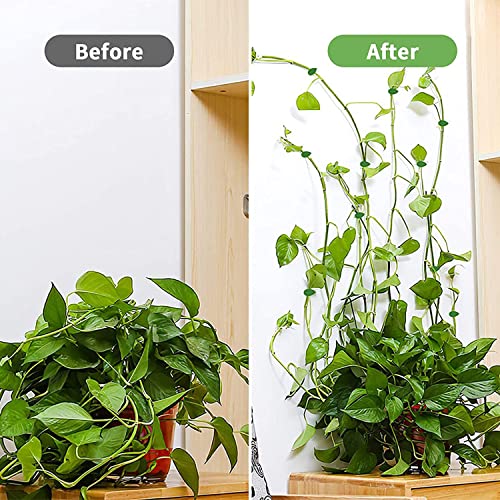 Plant Climbing Wall Fixture Clips,100Pcs Plant Fixer Self-Adhesive Hook,Garden Vegetable Plant Support Binding Clip Invisible Wall Vines,Fixture Wall Sticky Hook Fixing Clip Vines Holder (B-100 Pcs) - view 4