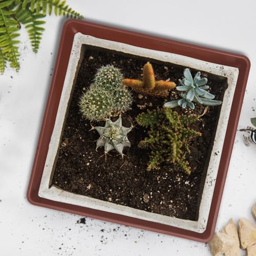 4pcs Plastic Plant Pot Trays, Reusable Soil Containment Bonsai Base - view 6