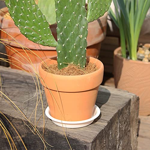 12 Pack 4.55 Inch White Plastic Round Plant Pot Saucer - view 7