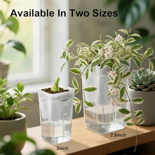 10 Pack 2.5 inch Clear self Watering pots for Indoor Plants - view 7