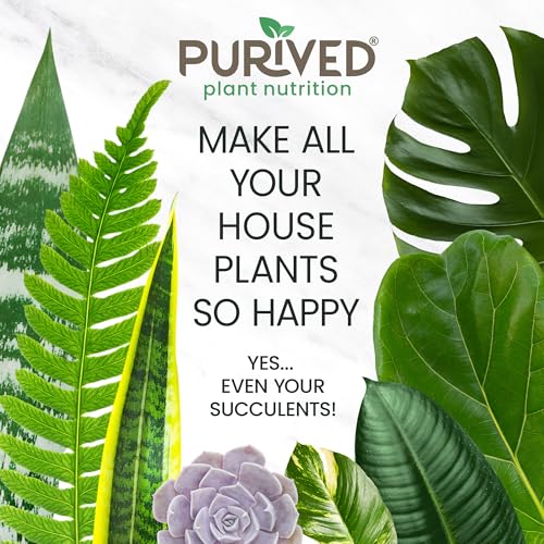 16oz All-Purpose Liquid Plant Fertilizer - Makes 50 Gallons, for Indoor Houseplants, All-Natural, Groundwater Safe, Made in USA - view 6