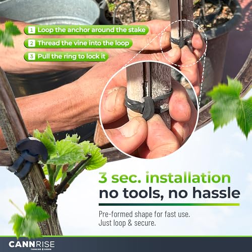 Anchor Bands for Trellising - 33-Pack 12 cm/4.72 in Rubber Vine Ties, UV-Protected Bands: Grapevines, Trees & Climbing Plants – Tool-Free Loop-and-Anchor Design for Install, Weatherproof - view 4