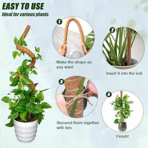 Moss Pole 31.5 Inch, 6 Pack Bendable Moss Pole for Plants Monstera, Moss Poles for Climbing Plants Indoor, Coconut Fiber Plant Poles Support Sticks for Potted Plants (31.5inch × 6pcs) - view 4