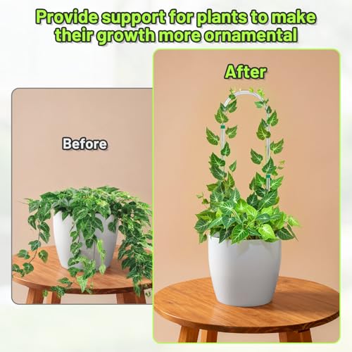 6 Pack U-Shape Acrylic Plant Trellis for Indoor Climbing Plants, 16 Inch Small Plant Trellis, Potted Plant Climber Support for Pothos, Vine Ivy, Houseplant - view 4