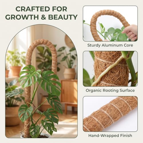 Bendable Coconut Pole Support Stakes, 30cm Flexible Moss Stick with 5mm Aluminum Core, Reusable Climbing Vine Training Frame for Green Plants - view 3