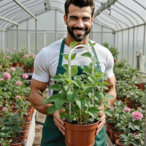 3PCS U-Shaped Clear Acrylic Trellis, 13.7X4'' Plant Trellis - view 5