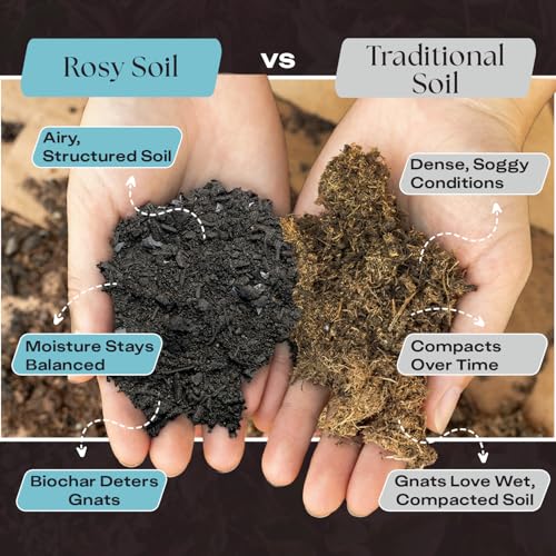 Houseplant Potting Soil, Organic Indoor Potting Mix, 4 Qt, 2 Pack - view 3