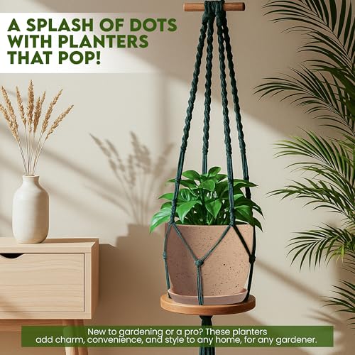 Plant Pots Indoor with Drainage 10 Pack Planters Spotty Peach Pink - view 3