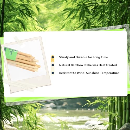 30pcs Bamboo Stakes 4FT, 1/2" D Thicker Garden Stakes Multi-Purpose, Plant Stakes for Tomatoes, Beans, Cucumbers, Peppers, Flowers, Potted, Maintain the Plant Posture, Strengthen and Stem - view 2