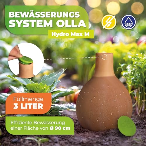 BioGreen Plant Self-Watering System Hydro MAX M with 0.8 gal Olla - view 3