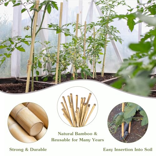 Plant Stakes 18inch, 20Pcs Natural Bamboo Sticks Garden Stakes - view 3