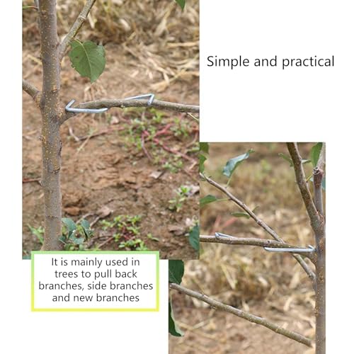 Tree Branch Spreader Clips for Guided Fruit Limb, 100 pieces - view 5