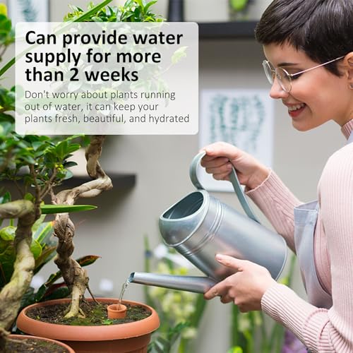 4pcs Ollas 3.1inch Plant Watering Globes Clay Watering Pot with lid Terra Cotta Clay Irrigation Globes Terracotta Watering Simple Irrigation Peripheral Water System Self Watering System - view 5