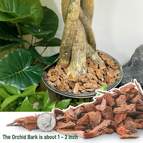 3 Quart Organic Orchid Bark for Potting-Natural Orchid Mulch for Potted Plants, Root Development of Orchid Plants and Garden Soil Amendment Mix - view 4