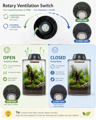 Plant Terrarium Kit with Rechargeable Grow Light 8", Gift for Mom (L) - view 4