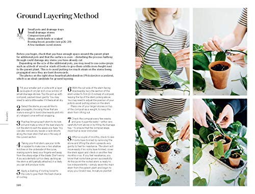Root, Nurture, Grow: The Essential Guide to Propagating and Sharing Houseplants - view 6