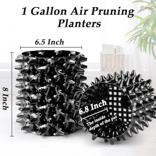 1 Gallon Air Pruning Containers, New Plastic Nursery Pots, Fruit Vegetable Garden Self-Planting Pots, Black (1G-10P) - view 3