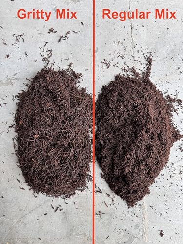 Premium Gritty New Zealand Tree Fern Fiber Growing Medium and Reptile Substrate- Natural, Organic, Long Lasting | for Orchids and Tropicals | Use in Terrariums and Vivariums (1 Gallon) - view 2