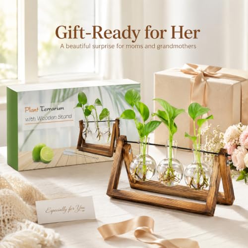 Plant Propagation Station, Plant Terrarium with Wooden Stand - view 6