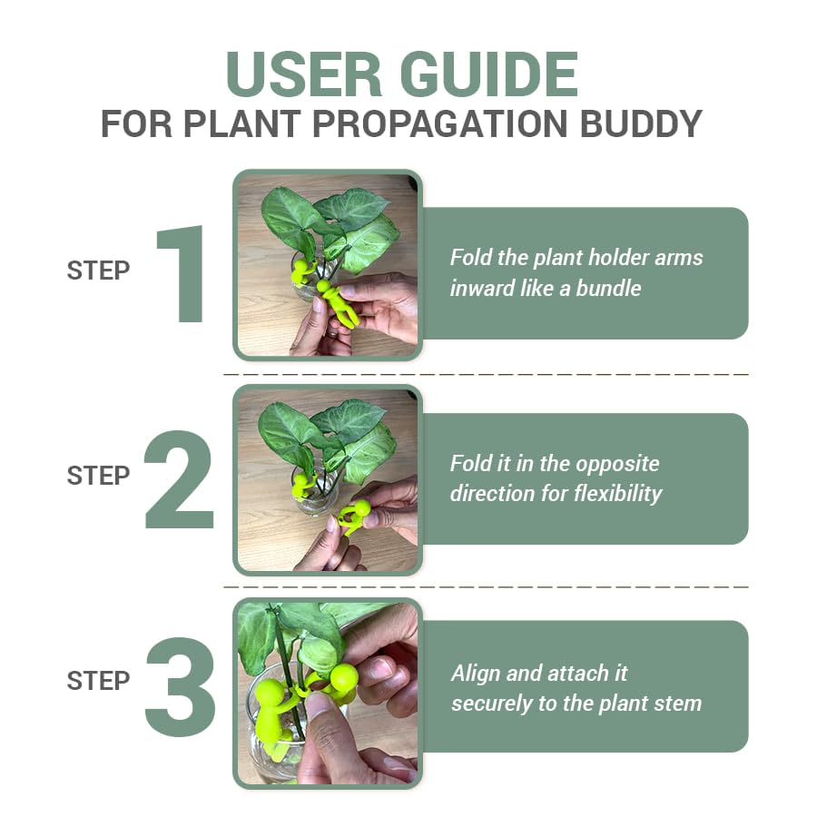 Plant Propagation Buddy Holders, 12 Pcs, 4 Colors - view 6