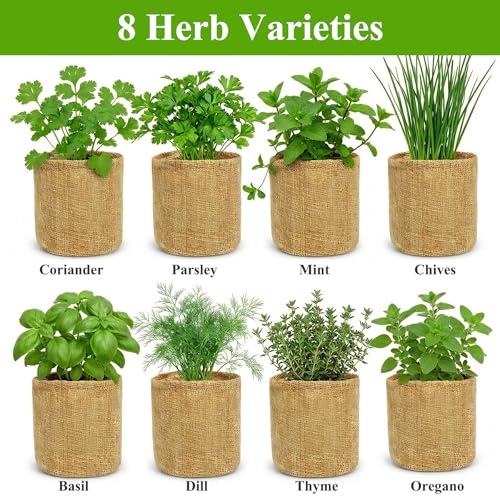 Indoor Herb Garden Kit, Culinary Herb Starter Kit with Seeds & Tools for Beginners, Kitchen Decor, House Warming Gifts for New Home, for Christmas, Ultimate Birthday Gifts for Women Men Mom Dad - view 4