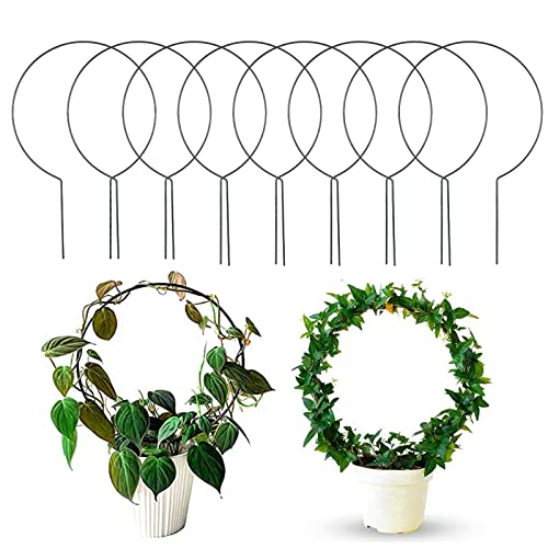 10 Pcs Circle Indoor Plant Trellis for Potted Plants