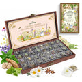 Lush&Dew Holistic Family Apothecary Seed Chest, 30000+ Medicinal Herb Seeds