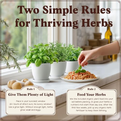 Indoor Herb Garden Starter Kit with 10 USDA Organic Seeds and Pots - view 5