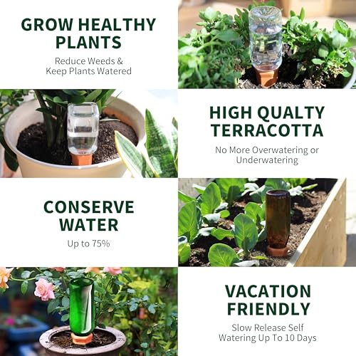 Wine Bottle Watering Spikes, Terracotta Watering Spikes for Out | Indoor Plants, Self Watering Planter Insert, Vacation Plant Watering Devices, Clay Plant Watering Globes, 8-Pack - view 6