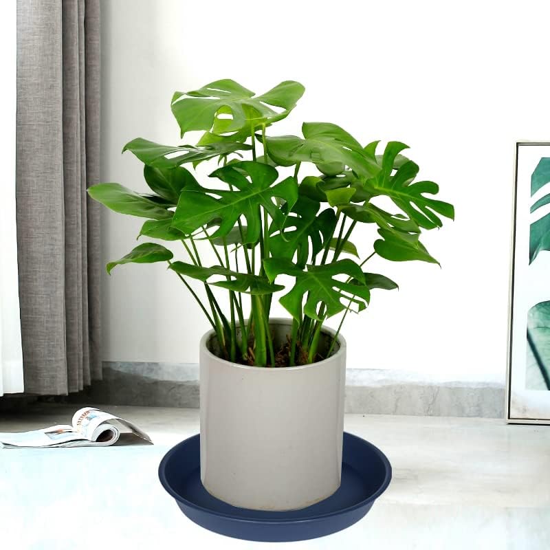 6 pack plastic plant saucer planter water drip tray, 4 5 6 7 8 9 10 11 12 inch, heavy sturdy tray for indoors outdoor plants, flower pot saucers for pots base (4", blue) - view 4