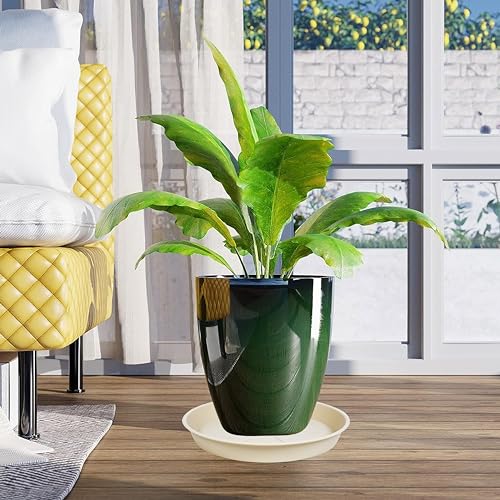 6 Pack of Plant Saucer Tray 4 6 8 10 12 14 17 19 22 25 inch, Heavy Duty Plastic Pot Plant Drip Trays Saucers for Indoors Outdoor, Plant Water Tray for Planters 4-7" (6", Beige) - view 6