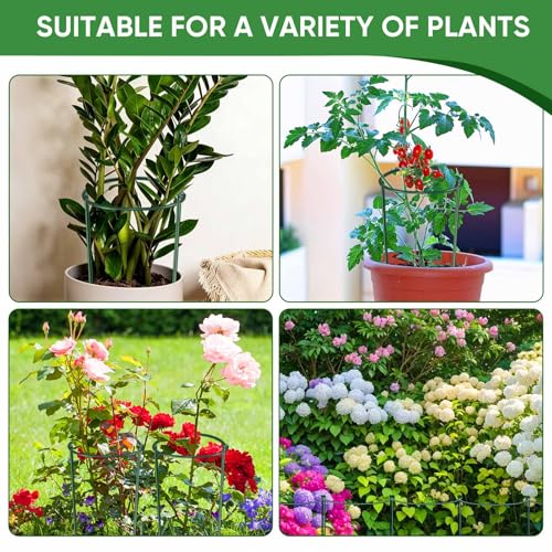 10 Pack 24" H x 10" W Tall Plant Support Stakes, Half Round Metal Peony Cages and Supports, Monstera Plant Support Snake Plant Stake Flower Support Ring for Tomato, Hydrangea Outdoor Indoor - view 6